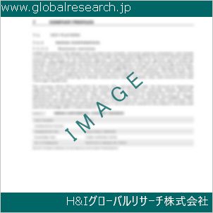 グローバルリサーチ調査資料のイメージ